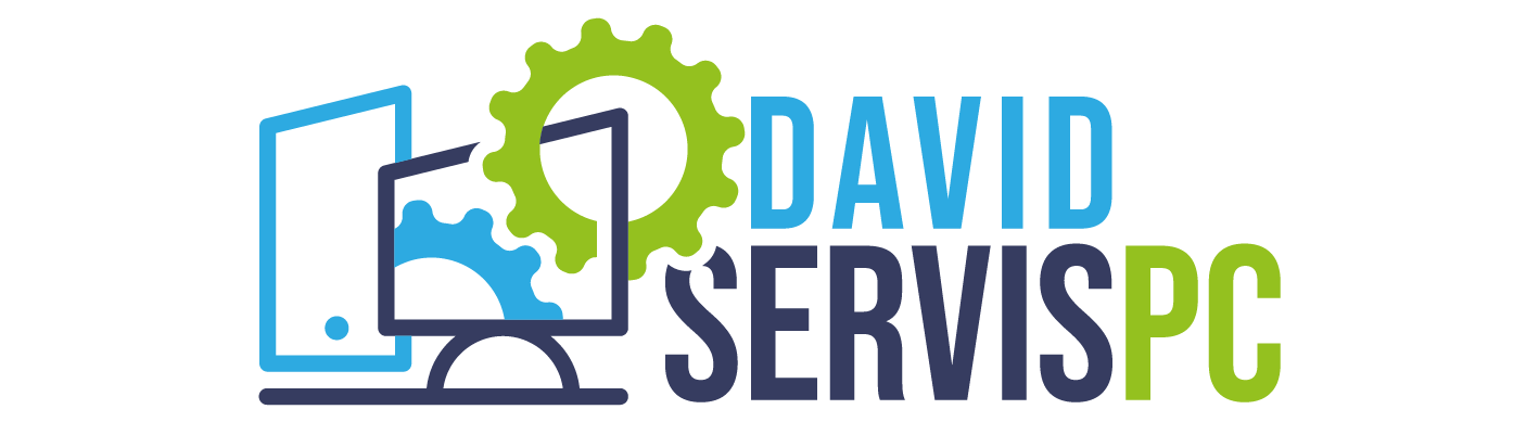 DavidServisPcLogo